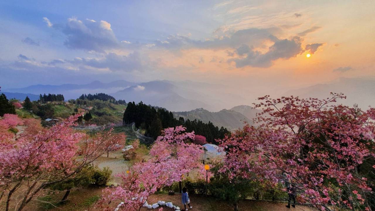 內洞、滿月圓、東眼山、拉拉山、觀霧國家森林遊樂區及烏來台車10月5日恢復營運